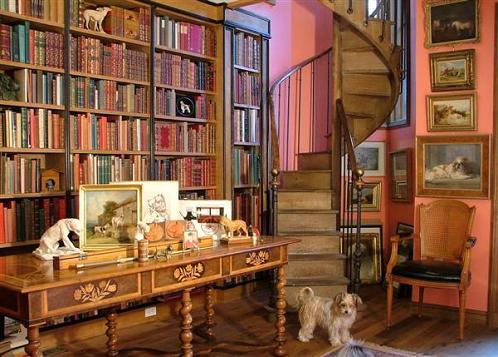 home-library-with-staircase-and-dog
