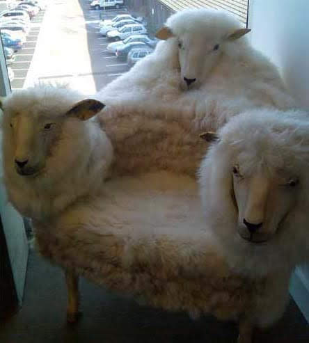Sheep Chair