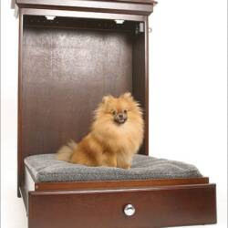 Best Dog Beds to Keep Your Dog Comfortable and Happy in 2021