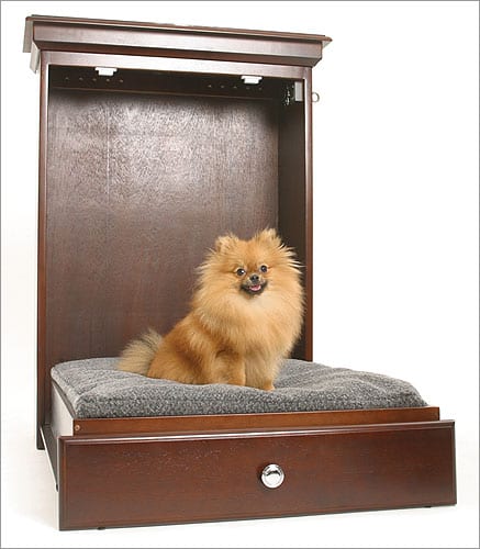 Best Dog Beds to Keep Your Dog Comfortable and Happy