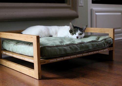 Bambu Hammock and Bambu Lounger Show Your Pets How Much You Love Them