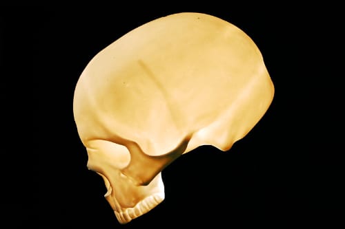 Skull Lamp 1.jpg
