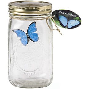 Gift Ideas - ChouChou Electric Butterfly in a Jar