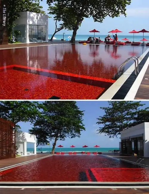 15 Of The World’s Coolest Swimming Pools