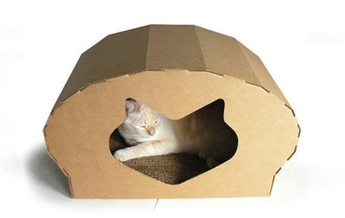 The Kittypod Dome1