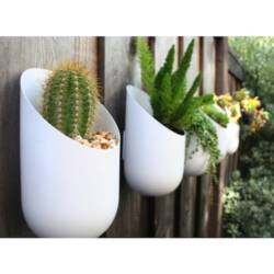 Wallter Wall Planter For Smaller Plants