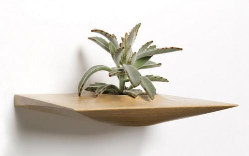 Plant Pods by Domenic Fiorello Modern Design