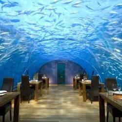 Conrad Maldives Rangali Island - Underwater Restaurant