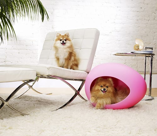 chic pink dog bed