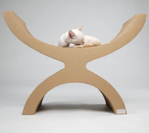 x shaped cat sleeper
