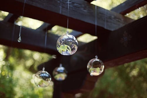 hanging bubble candles