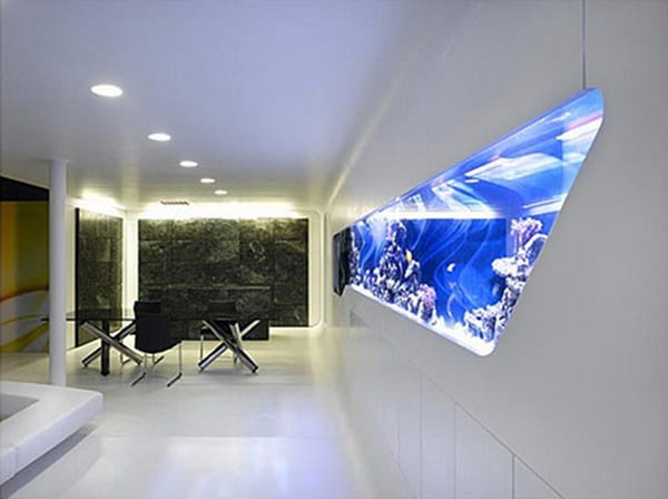 50 Wall Aquarium Pictures And Designs Furniture Fashion