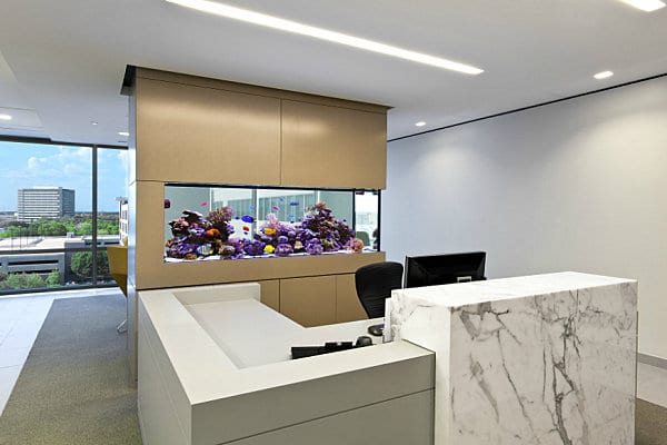Office Aquarium Design