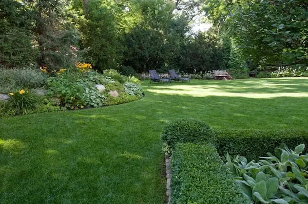 green lawn landscaping