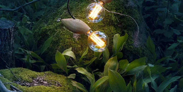 The Swarm Lamp by Jangir Maddadi: Innovative and Graceful