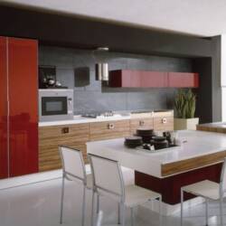large-contemporary-kitchen