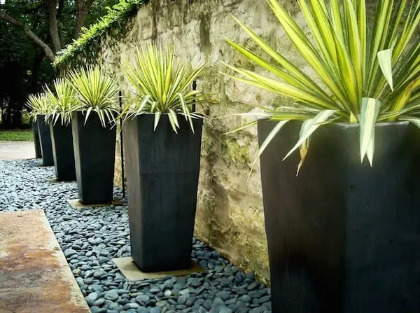 planters for home exteriors