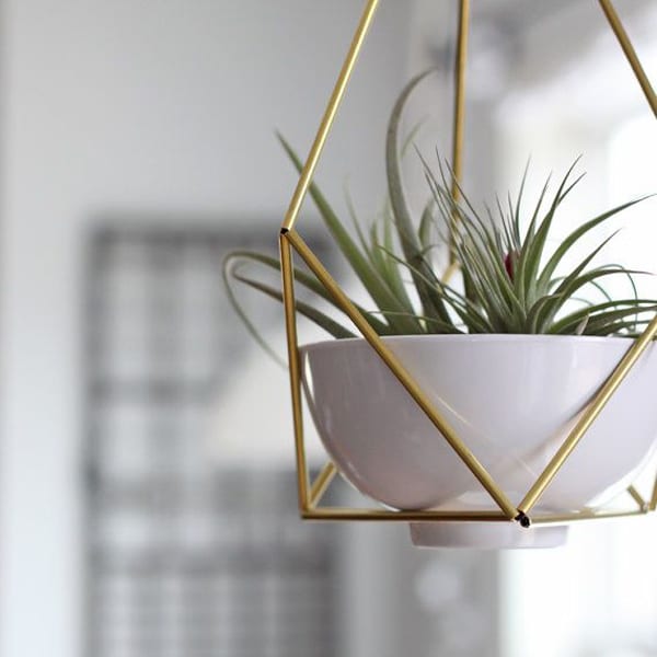 Hanging Planters For Your Home
