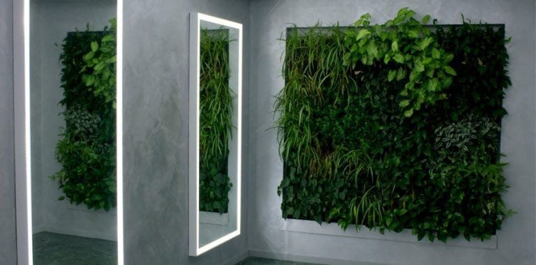 plant wall design by Verde Profilo