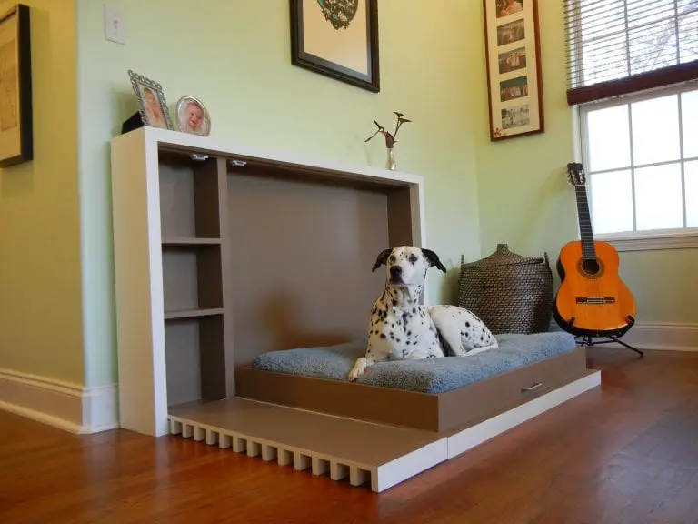 6 Cool Dog Bed Designs
