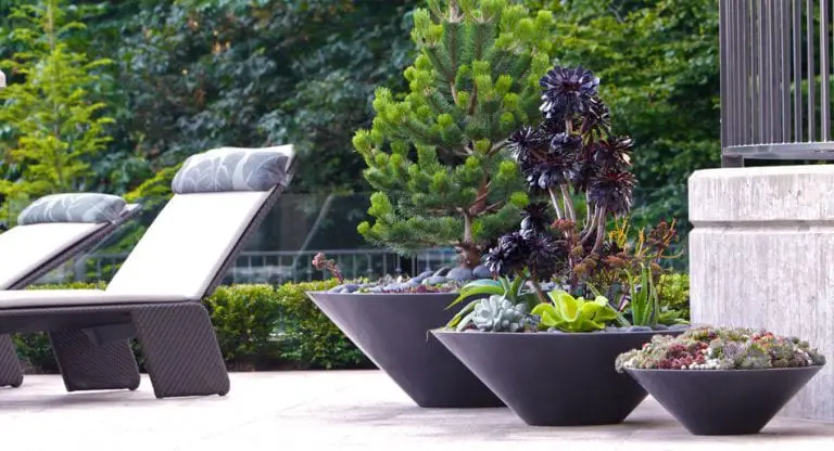 10 Modern Indoor Plant Pots that will Dress Up a Home