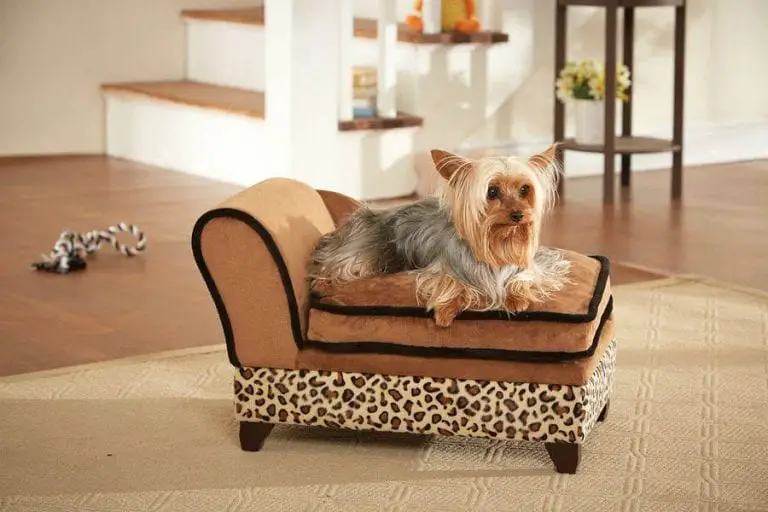 pet bed chair
