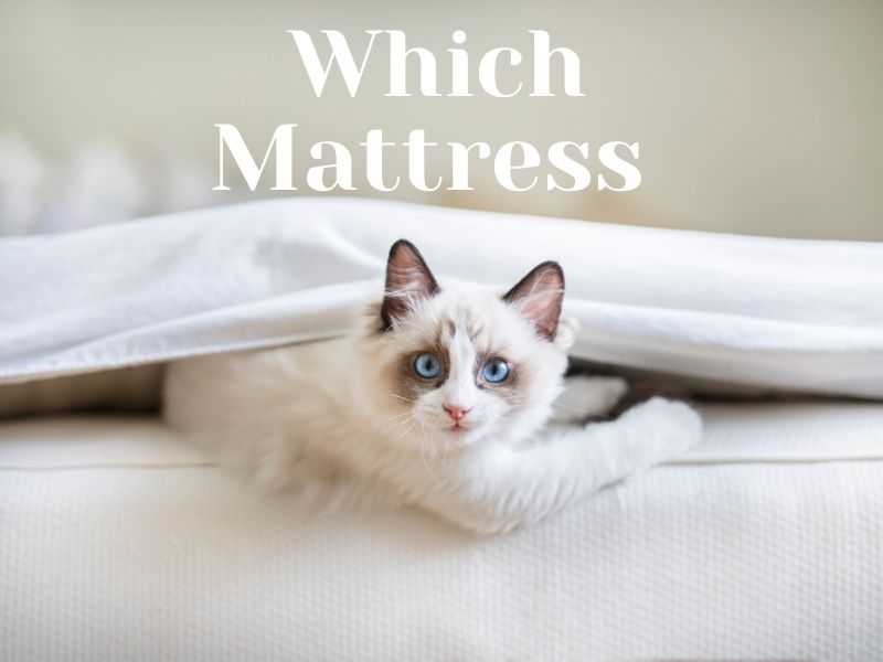 Best Affordable Mattresses – What Makes A Quality Mattress?