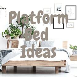 Platform Beds With and Without Storage