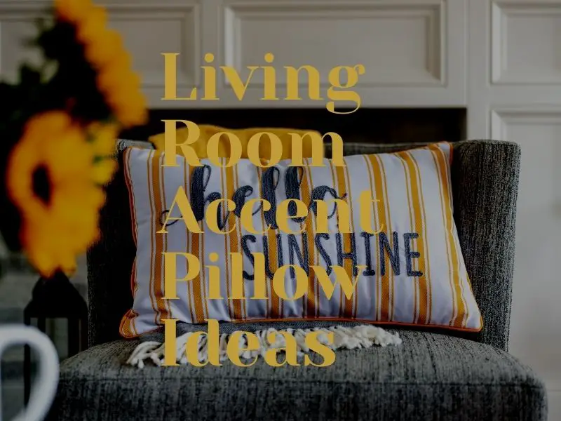 Living Room Accent Pillow Ideas