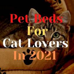 Pet Beds For Cat Lovers In 2021