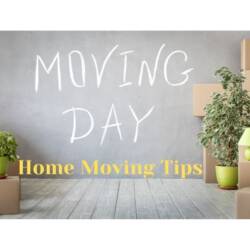 11-useful-home-shifting-tips-that-are-easy-to-follow
