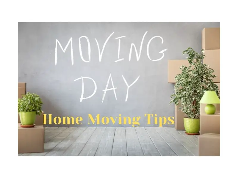 11 Useful Home Moving Tips That Are Easy To Follow