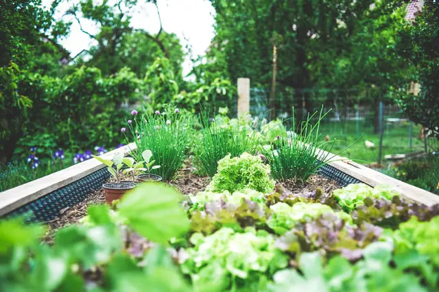 Getting your garden ready for summer