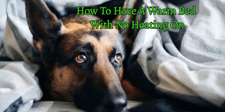 How To Have A Warm Bed With No Heating On