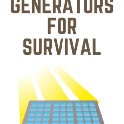 Solar Panels For Survival