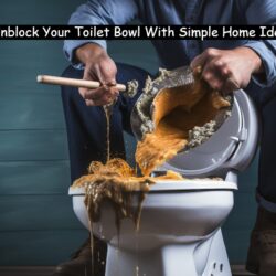 Unblocking a blocked toilet bowl