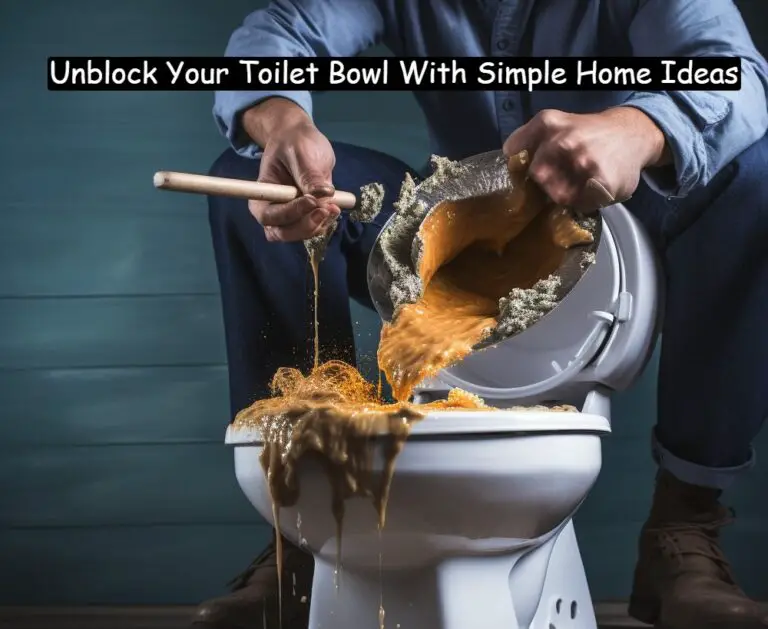 How To Unclog A Toilet With Poop Still In It?