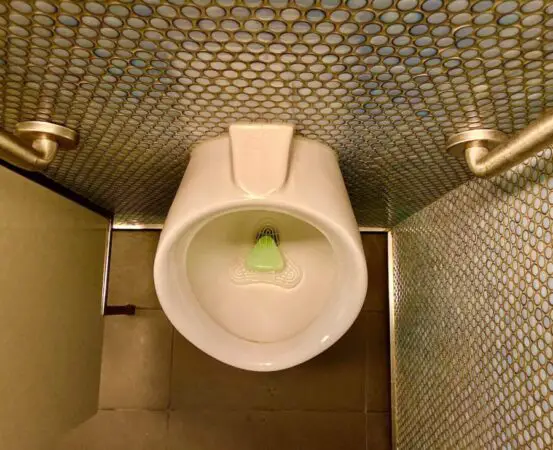 Best small bathroom toilet
